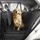 HELDENWERK Autoschondecke Hund Rücksitz wasserdicht & Kratzfest - Universal Hundedecke für Auto Rückbank inkl. Seitenschutz und Sichtfenster - Hunde Autodecke, Rückbank Schutz