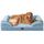 EHEYCIGA Orthopädisches Hundebett Grosse Hunde, 112x81cm, Memory Foam Hundekorb XL, Waschbar Hundesofa Wasserdicht rutschfest, Hundecouch mit Hohem Rand, Hellblau
