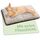 Knupis Selbstheizende Decke für Katzen Braun 60x45cm – Weich & kuschelige Katzendecke – Waschbarer Bezug – Mit Rutschfester Unterseite – Heizdecke für Katzen – Wärmekissen Katze – Braun