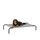 Amazon Basics Kühlendes erhöhtes Haustierbett per Hund, Größe S, L 90 x B 55 x H 19 cm, Grau
