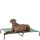 Amazon Basics Kühlendes erhöhtes Hund Haustierbett, Grün, Größe XL, L 153 x B 94 x H 23 cm