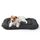 BEDSURE waschbar Hundekissen für mittelgroße Hunde - dünne Hundebette kleine und mittelgroße Hunde, weiche und Bequeme Hundematte mit Rutschfester Unterseite- 74x46 cm,Dunkelgrau
