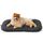 BEDSURE waschbar Hundekissen für kleine Hunde - dünne Hundebette kleine Hunde, weiche und Bequeme Hundematte mit Rutschfester Unterseite- 59x43 cm,Dunkelgrau