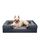 JOEJOY Orthopädisches Hundebett Kleine Hunde,71x58x17cm, Memory Foam Hundekorb Waschbar und Wasserdicht, Eierkarton-Schaum Hundebett Orthopädisch, Abnehmbar Hundebetten mit Hohem Rand, Dunkel Grau