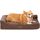 COZY KISS Orthopädisches Hundebett, 19cm Dicke Hundesofa für Mittelgroße Hunde, Abnehmbar und Waschbar Hundecouch, rutschfeste Unterseite, Wasserdichtes Innenfutter, Braun,91x69x19cm