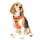 Funfox Hundegeschirr Mittelgroße Hunde [M] - Verstellbares Anti-Zug Brustgeschirr mit Griff & Reflektorstreifen, Atmungsaktives No Pull Hundegeschirr für Grosse/Kleine Hunde Outdoor Orange