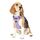 Funfox Hundegeschirr Mittelgroße Hunde [M] - Verstellbares Anti-Zug Brustgeschirr mit Griff & Reflektorstreifen, Atmungsaktives No Pull Hundegeschirr für Grosse/Kleine Hunde Outdoor Lavendel