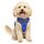 Funfox Hundegeschirr Kleine Hunde [S] - Anti Zug Welpengeschirr mit Griff & Ringreflektoren, Atmungsaktives Verstellbares No Pull Brustgeschirr für Kleine/Mittelgroße Hunde Outdoor Blau