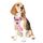 Funfox Hundegeschirr Mittelgroße Hunde [M] - Verstellbares Anti-Zug Brustgeschirr mit Griff & Reflektorstreifen, Atmungsaktives No Pull Hundegeschirr für Grosse/Kleine Hunde Outdoor Rosa