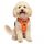 Funfox Hundegeschirr Kleine Hunde [S] - Anti Zug Welpengeschirr mit Griff & Ringreflektoren, Atmungsaktives Verstellbares No Pull Brustgeschirr für Kleine/Mittelgroße Hunde Outdoor Orange