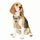 Funfox Hundegeschirr Mittelgroße Hunde [M] - Verstellbares Anti-Zug Brustgeschirr mit Griff & Reflektorstreifen, Atmungsaktives No Pull Hundegeschirr für Grosse/Kleine Hunde Outdoor Braun