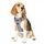 Funfox Hundegeschirr Mittelgroße Hunde [M] - Verstellbares Anti-Zug Brustgeschirr mit Griff & Reflektorstreifen, Atmungsaktives No Pull Hundegeschirr für Grosse/Kleine Hunde Outdoor Grau