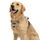 Funfox Hundegeschirr Mittelgroße Hunde [L] - Verstellbares Anti-Zug Brustgeschirr mit Griff & Reflektorstreifen, Atmungsaktives No Pull Hundegeschirr für Grosse/Kleine Hunde Outdoor Braun