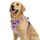 Funfox Hundegeschirr Mittelgroße Hunde, Anti Zug Brustgeschirr Verstellbares Geschirr Hund mit Griff Reflektorstreifen, No Pull Geschirr Hund für Kleine Mittlere Grosse Dog Harness Lavendel L