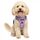Funfox Hundegeschirr Kleine Hunde [S] - Anti Zug Welpengeschirr mit Griff & Ringreflektoren, Atmungsaktives Verstellbares No Pull Brustgeschirr für Kleine/Mittelgroße Hunde Outdoor Lavendel
