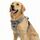 Funfox Hundegeschirr Mittelgroße Hunde, Anti Zug Brustgeschirr Verstellbares Geschirr Hund mit Griff Reflektorstreifen, No Pull Geschirr Hund für Kleine Mittlere Grosse Dog Harness Grau L