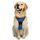 rabbitgoo Hundegeschirr Grosse Hunde, Anti Zug Geschirr mit Kontrolle, No Pull Verstellbar Hundegeschirr Mittelgroße Hunde, Atmungsaktiv Reflexstreifen Brustgeschirr Sichere Führung, Blau, L
