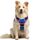 rabbitgoo Hundegeschirr Mittelgroße Hunde, Anti Zug Geschirr mit Kontrolle, No Pull Verstellbar Hundegeschirr Grosse Hunde, Atmungsaktiv Reflexstreifen Brustgeschirr Sichere Führung,Blau & Rosarot,M