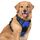rabbitgoo Hundegeschirr Grosse Hunde, Anti Zug Geschirr mit Kontrolle, No Pull Verstellbar Hundegeschirr Mittelgroße Hunde, Atmungsaktiv Reflexstreifen Brustgeschirr Sichere Führung, Blau, XL