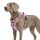 Funfox Hundegeschirr Grosse Hunde [XL] - Verstellbares Anti-Zug Brustgeschirr mit Griff & Reflektorstreifen, Atmungsaktives No Pull Hundegeschirr für Grosse/Mittelgroße Hunde Outdoor Rosa