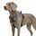 Funfox Hundegeschirr Grosse Hunde [XL] - Verstellbares Anti-Zug Brustgeschirr mit Griff & Reflektorstreifen, Atmungsaktives No Pull Hundegeschirr für Grosse/Mittelgroße Hunde Outdoor Mistig Grau XL