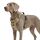 Funfox Hundegeschirr Grosse Hunde [XL] - Verstellbares Anti-Zug Brustgeschirr mit Griff & Reflektorstreifen, Atmungsaktives No Pull Hundegeschirr für Grosse/Mittelgroße Hunde Outdoor Braun