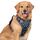 rabbitgoo Hundegeschirr Mittelgroße Hunde, Anti Zug Geschirr mit Kontrolle, No Pull Verstellbar Hundegeschirr Grosse Hunde, Atmungsaktiv Reflexstreifen Brustgeschirr Sichere，Blauer Stern，XL