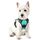 rabbitgoo Hundegeschirr Kleine Hunde, Anti Zug Geschirr mit Kontrolle, No Pull Verstellbar Hundegeschirr Grosse Hunde, Atmungsaktiv Reflexstreifen Brustgeschirr Sichere Führung Grün XS