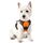 rabbitgoo Hundegeschirr Kleine Hunde, Anti Zug Geschirr mit Kontrolle, No Pull Verstellbar Hundegeschirr Grosse Hunde, Atmungsaktiv Reflexstreifen Brustgeschirr Sichere Führung Orange XS