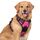 rabbitgoo Hundegeschirr Grosse Hunde, Anti Zug Geschirr mit Kontrolle, No Pull Verstellbar Hundegeschirr Mittelgroße Hunde, Atmungsaktiv Reflexstreifen Brustgeschirr Sichere Führung, Rosarot, XL