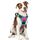 rabbitgoo Hundegeschirr Grosse Hunde, Anti Zug Geschirr mit Kontrolle, No Pull Verstellbar Hundegeschirr Mittelgroße Hunde, Atmungsaktiv Reflexstreifen Brustgeschirr Sichere，Rosarot & Mint Grün，L