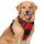 rabbitgoo Hundegeschirr Grosse Hunde, Anti Zug Geschirr mit Kontrolle, No Pull Verstellbar Hundegeschirr Mittelgroße Hunde, Atmungsaktiv Reflexstreifen Brustgeschirr Sichere Führung, Rot, XL