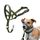 HALTI Kopfgeschirr - Verhindert, dass Ihr Hund an der Leine zieht, Einfache Anpassung, Leicht, mit gepolstertem Nasenriemen, Anti-Zug-Halsband für kleine Hunde (Größe 1, Waldgrün)