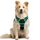 rabbitgoo Hundegeschirr Mittelgroße Hunde, Anti Zug Geschirr mit Kontrolle, No Pull Verstellbar Hundegeschirr Grosse Hunde, Atmungsaktiv Reflexstreifen Brustgeschirr Sichere Führung Schwarz+Grün M