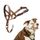 HALTI Kopfgeschirr - Verhindert, dass Ihr Hund an der Leine zieht, Einfache Anpassung, Leicht, mit gepolstertem Nasenriemen, Anti-Zug-Halsband für mittelgroße Hunde (Größe 2, Wüstensand)
