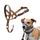 HALTI Kopfgeschirr - Verhindert, dass Ihr Hund an der Leine zieht, Einfache Anpassung, Leicht, mit gepolstertem Nasenriemen, Anti-Zug-Halsband für kleine Hunde (Größe 1, Wüstensand)