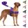 Eyein Hundegeschirr mit Leine für große mittelgroße Hunde, Weich gepolsterter Brustgeschirr mit 2 Leinenclips, Reflektierend & Leichtgewicht Anti Zug Geschirr für Spaziergänge Training, Lila, L