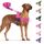 Eyein Hundegeschirr mit Leine für große mittelgroße Hunde, Weich gepolsterter Brustgeschirr mit 2 Leinenclips, Reflektierend & Leichtgewicht Anti Zug Geschirr für Spaziergänge Training, Magenta, L