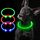 iTayga Leuchthalsband Hund, USB Typ-C und Wasserdicht RGB Hundehalsband, Verstellbare Länge, Sichtweite 500M, 7 Modi, Grün Blau Rot Mehrfarbig Leuchtendes Halsband für Hunde und Katzen