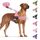 Eyein Hundegeschirr mit Leine für große mittelgroße Hunde, Weich gepolsterter Brustgeschirr mit 2 Leinenclips, Reflektierend & Leichtgewicht Anti Zug Geschirr für Spaziergänge Training, Rosa, L