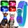 YFbrite Leuchtende Hundehalsbänder, USB-aufladbares LED-Hundehalsband, verstellbares LED-Katzenhalsband für Katzen, Welpen, kleine, mittelgroße und große Hunde (Blau, XS)