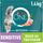 PURINA ONE BIFENSIS Sensitive Katzenfutter trocken, reich an Truthahn, 6er Pack (6 x 1,4kg)