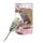 Automatischer Vogelfutterspender, Vogelkäfig-Futterspender mit Sitzstange für Wellensittiche, Sittiche, Kanarienvögel, Nymphensittiche, Finken (Rosa)