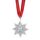 Reed and Barton 2022 Jahresstern-Ornament, 0,30, metallisch