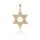 PRINS JEWELS 14 Karat 585 Gold Davidstern Mit Zirkonia Steinen Anhänger Gelbgold
