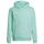 Adidas Unisex Kinder Entrada 22 Sweat Hoodie, Clear Mint, 128