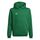 adidas Unisex Kinder Entrada 22 Sweat Hoodie, team green/white, 116