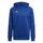 adidas Mens Hooded Track Top Tiro 23 Competition Hoodie, Team Royal Blue, HU1349, L