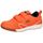 Lico Boulder V