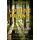 How The Light Gets In: thrilling and page-turning crime fiction from the author of the bestselling Inspector Gamache novels (Chief Inspector Gamache) (English Edition)